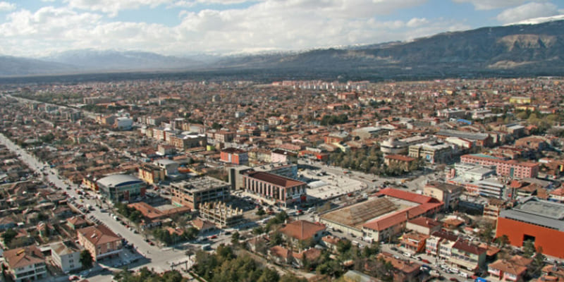 Erzincan Karot