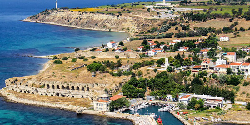 Gelibolu Karot