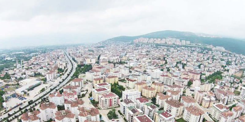 Orhangazi Karot
