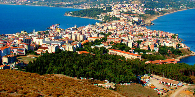 Sinop Karot