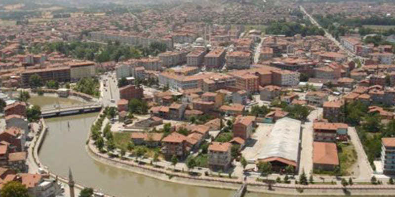 Tokat Karot